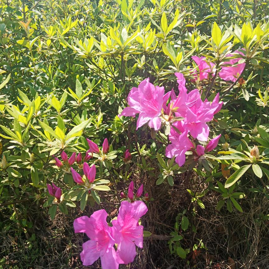 你的世界我来过