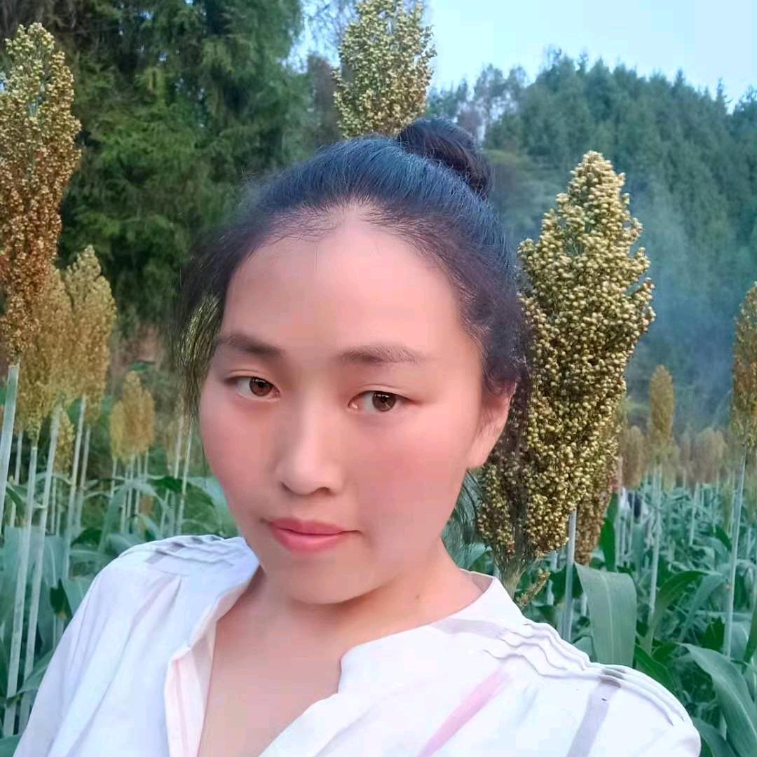 周周掉进苟窝里