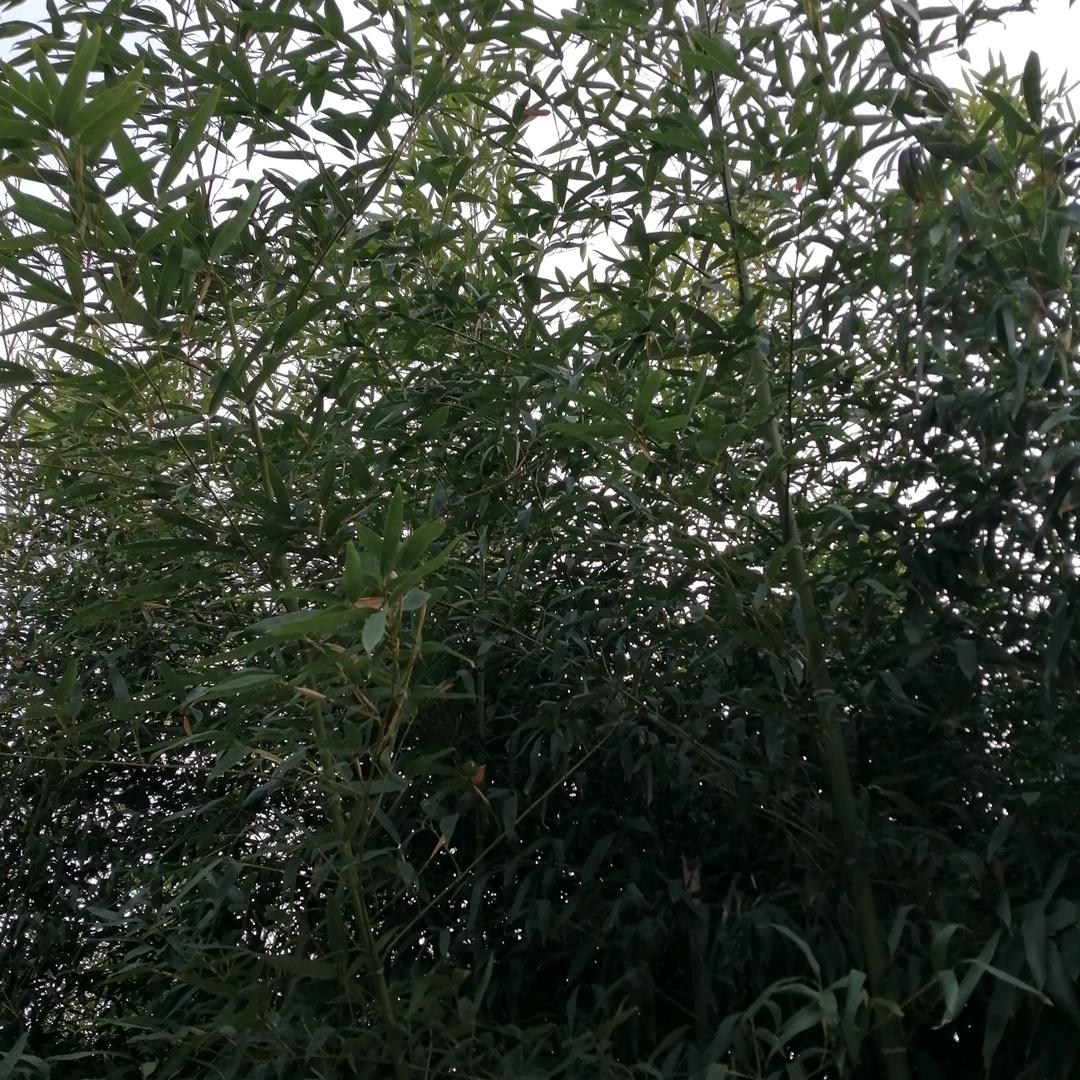 一切随缘伤心人一人过