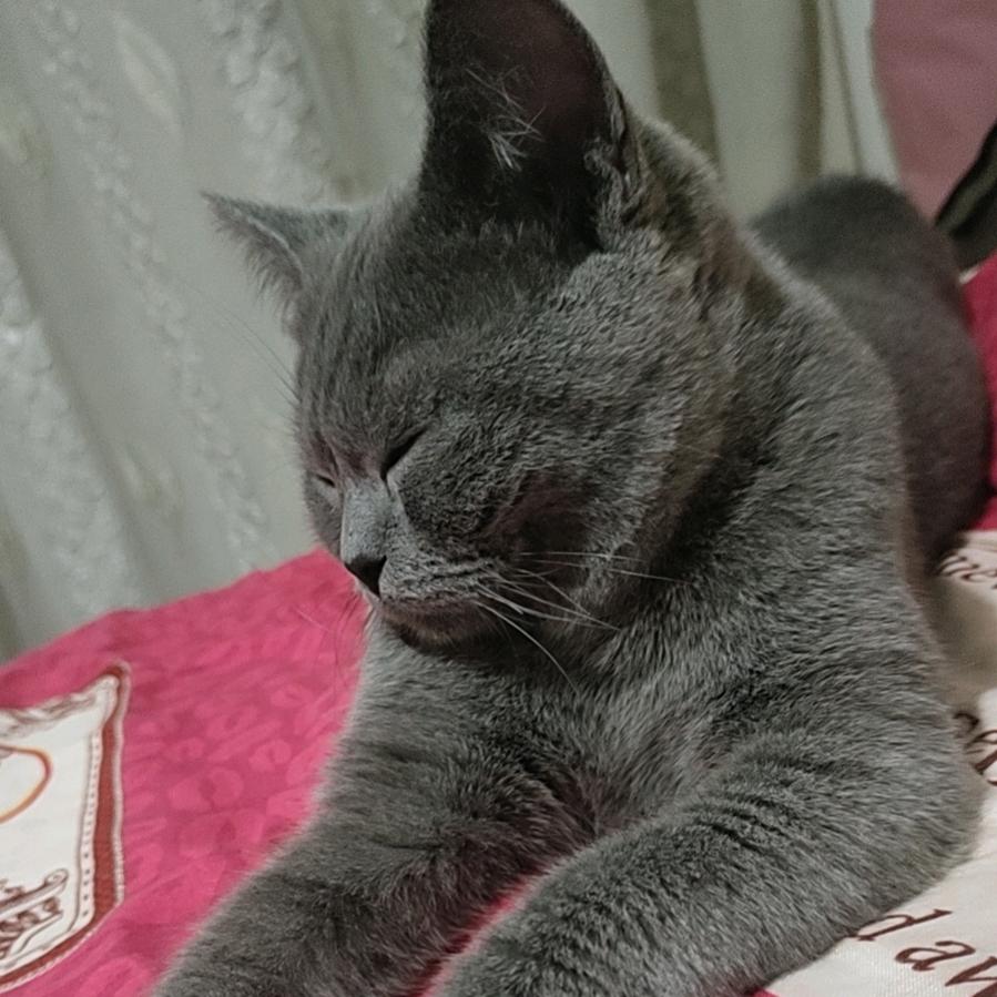 小啊哥1