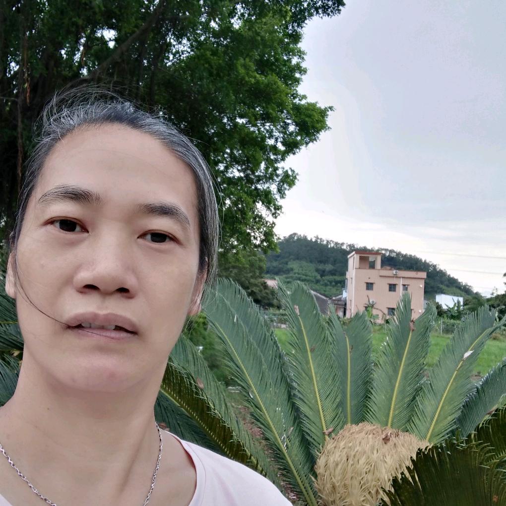 用户4133733973630