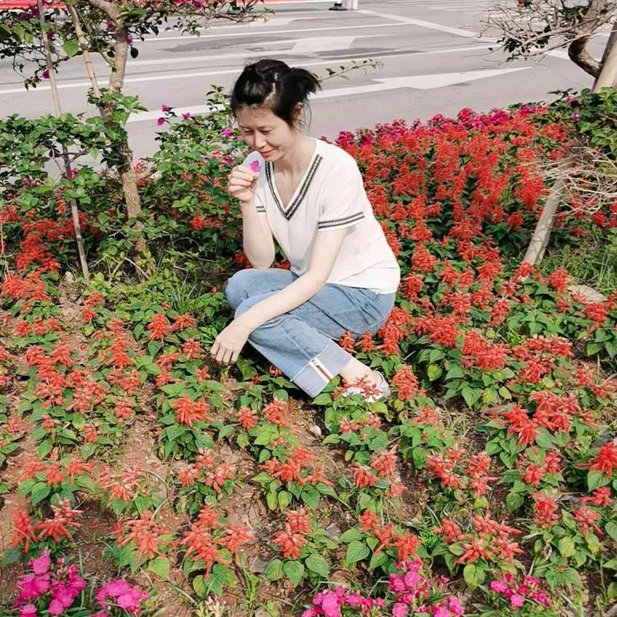 燕舞飘凌