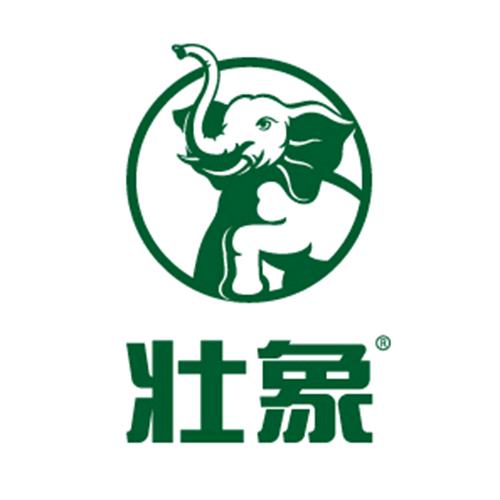 壮象