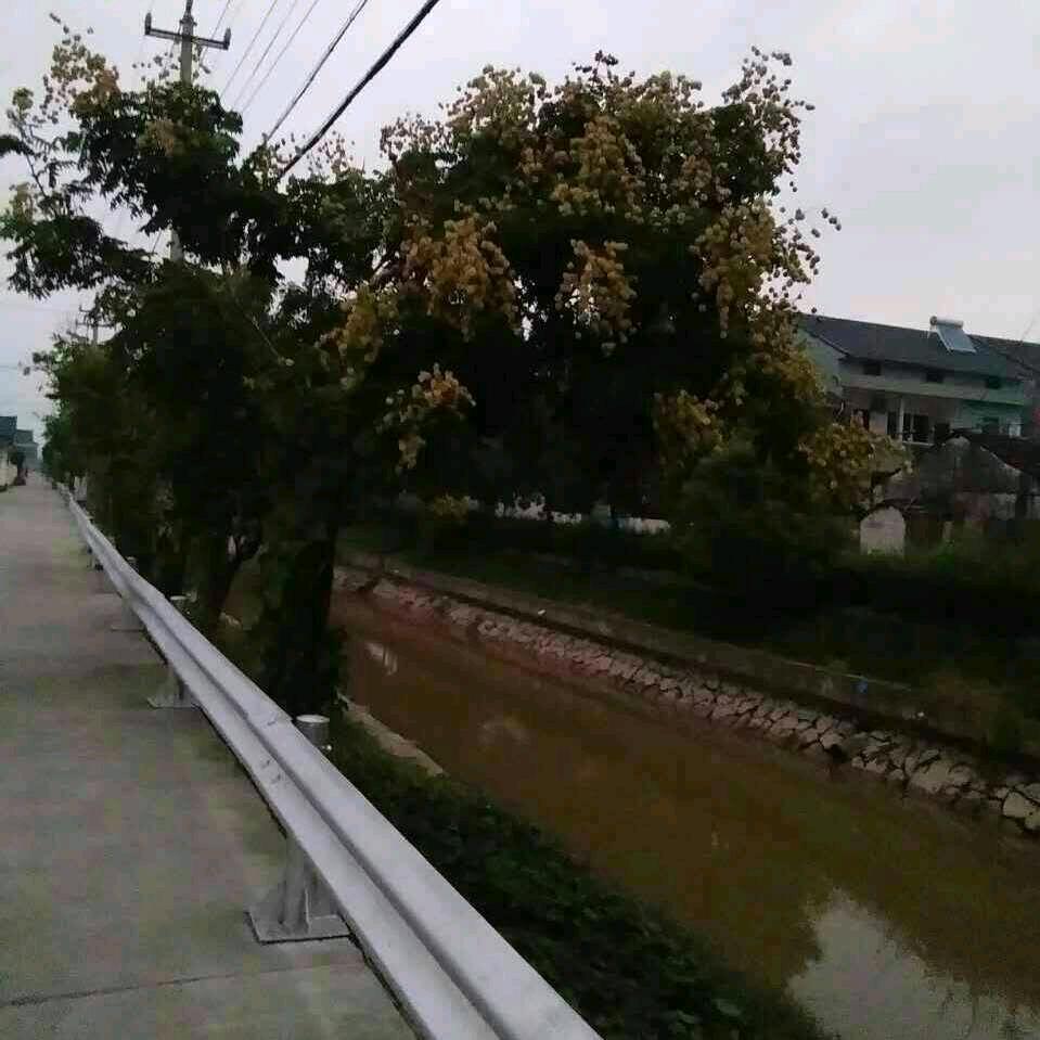 小张