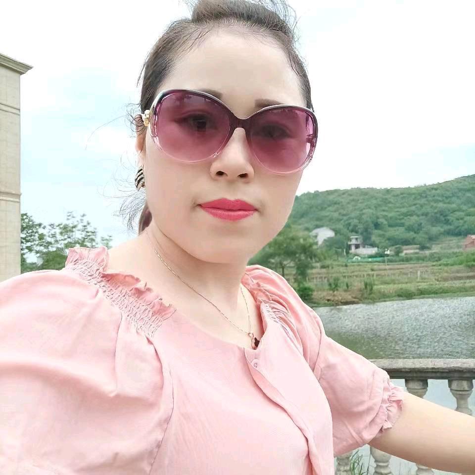 金菊好物