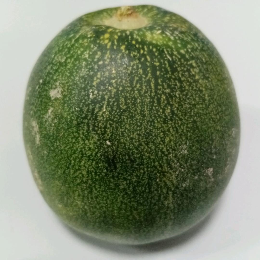 一颗无处安放的心