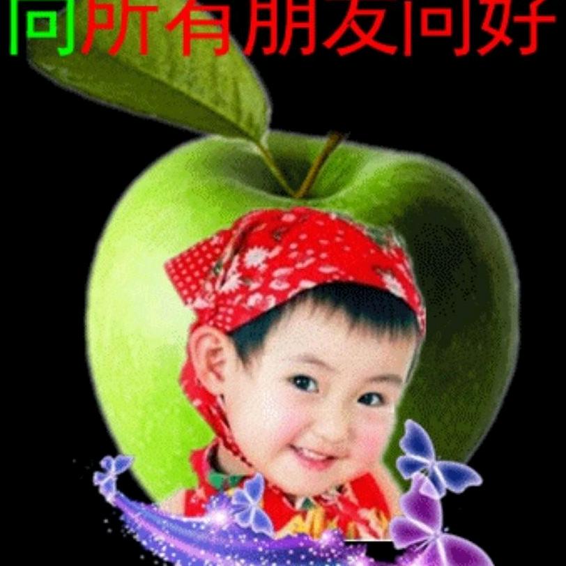 鹏哥