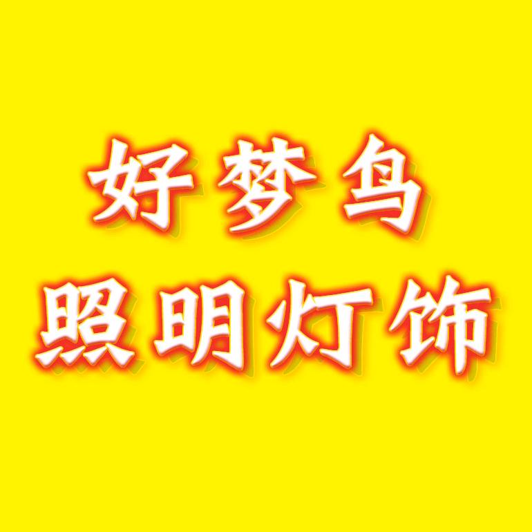 惠民太阳能灯下乡