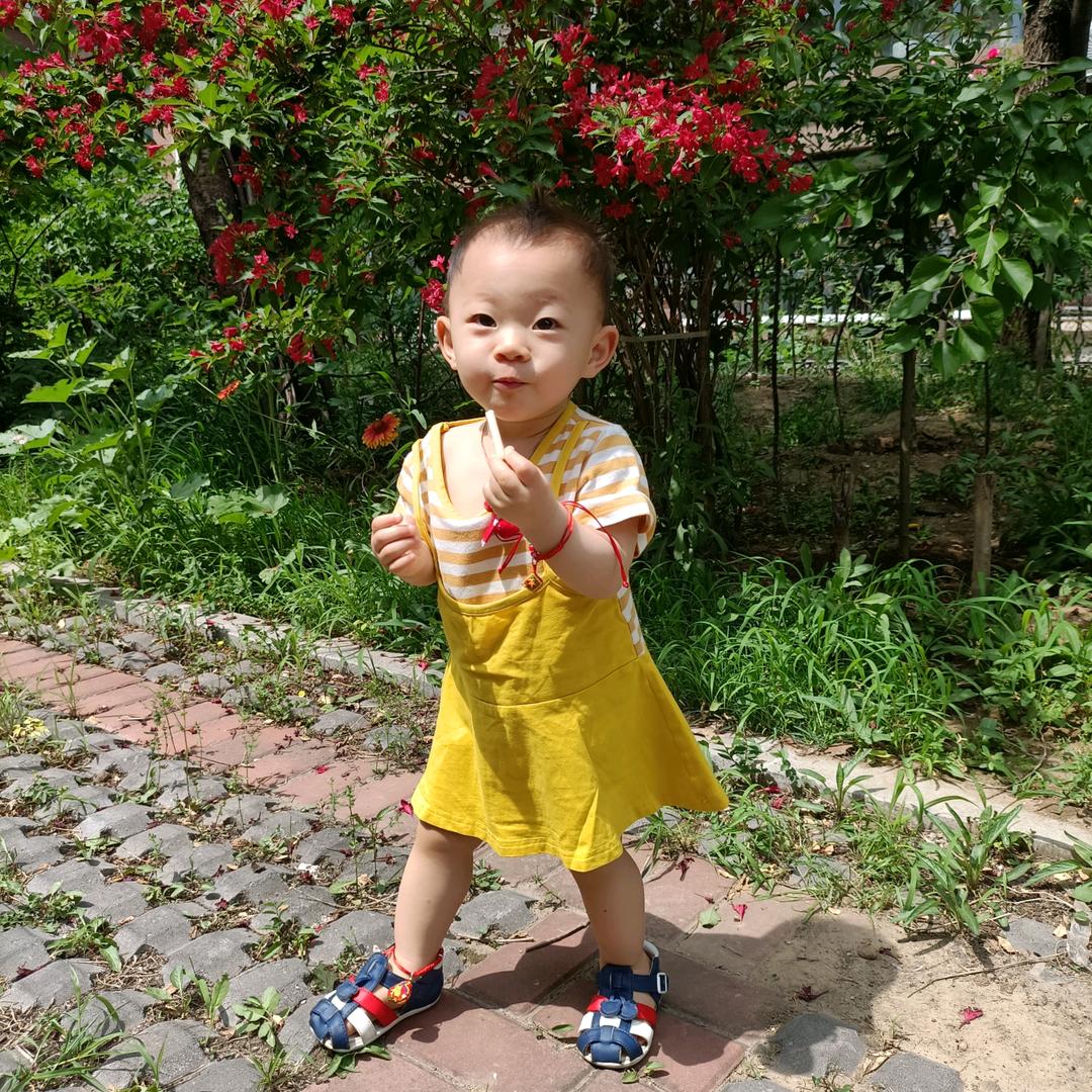 牛油果小朋友