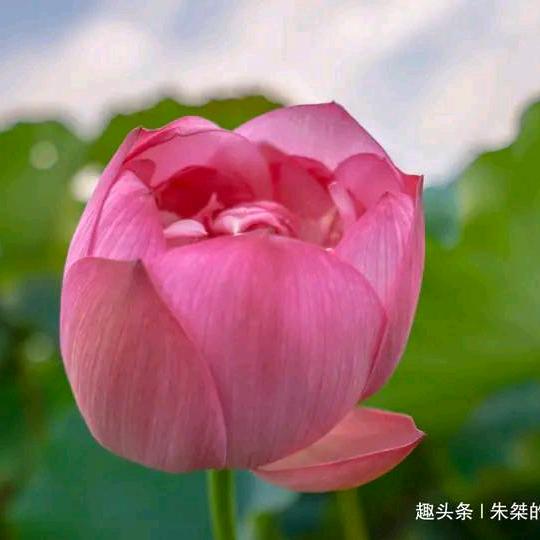 用户169935835704，一帆风顺