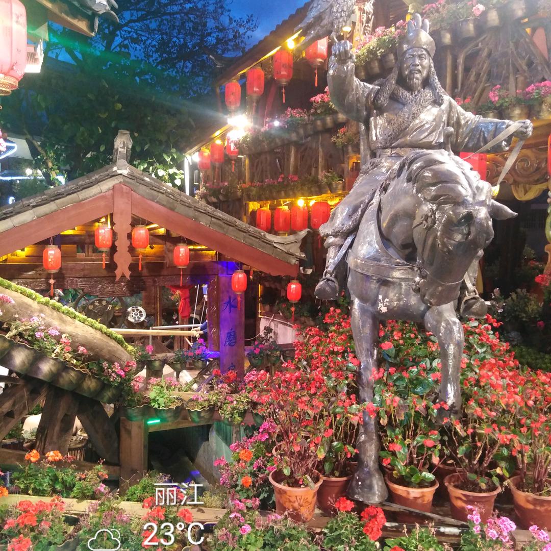 奋斗中的孤勇者