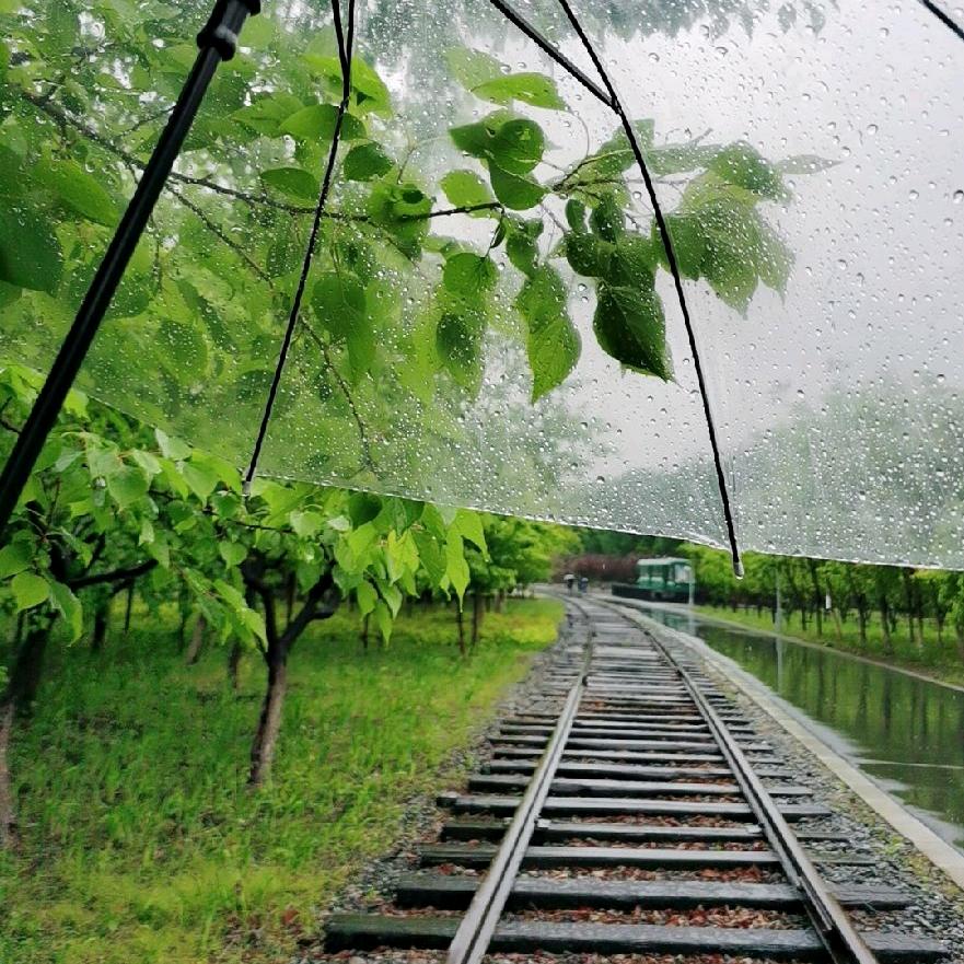 誓言 一瞬间的失言