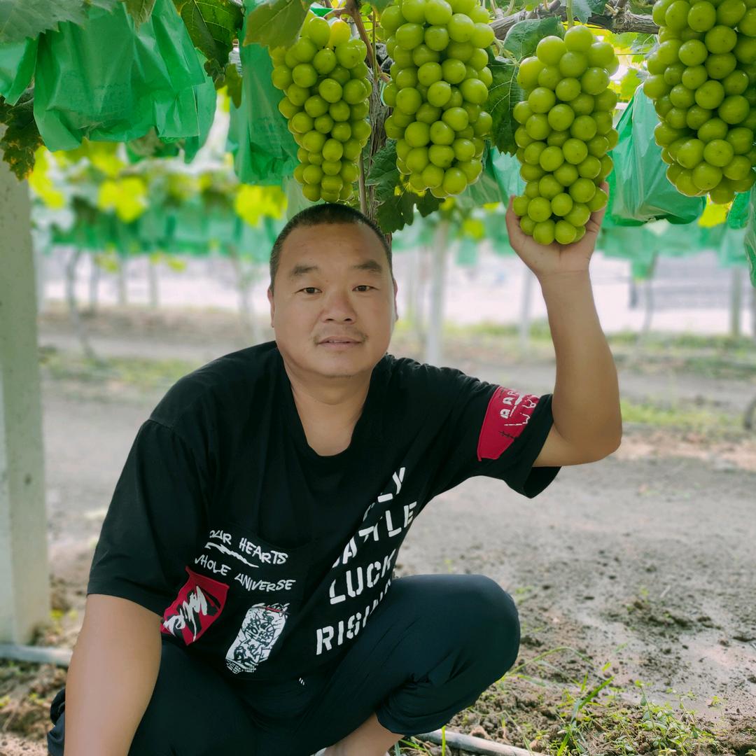 冯志君☞（阳光玫瑰）