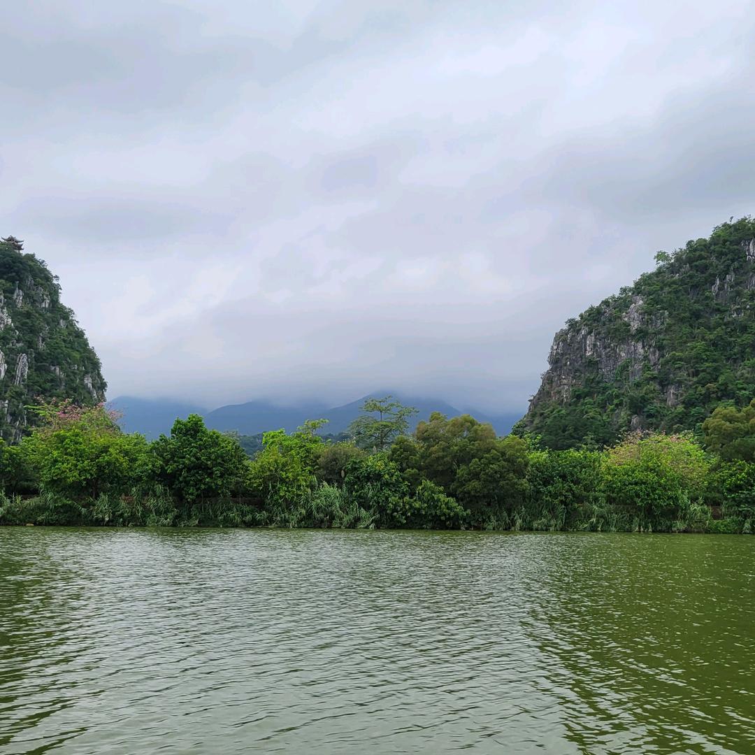 有青山