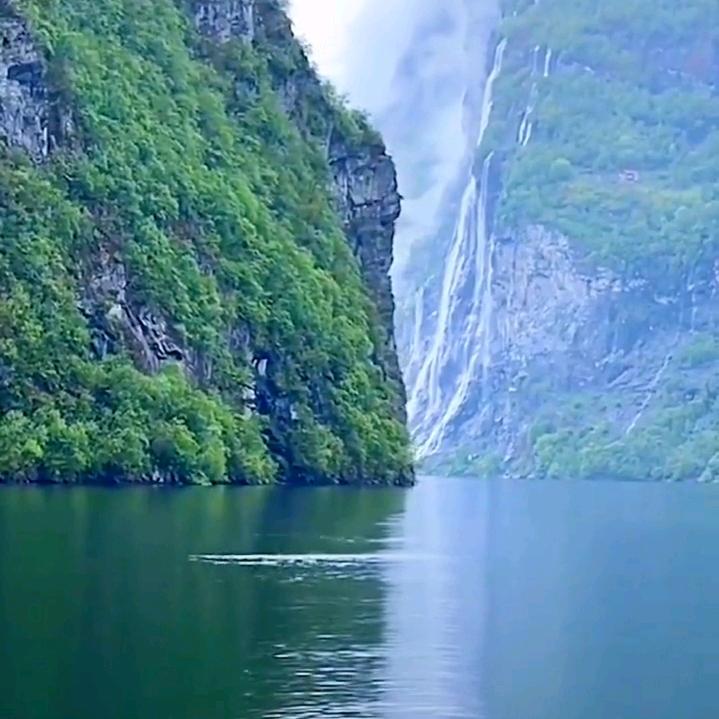 阳光普照