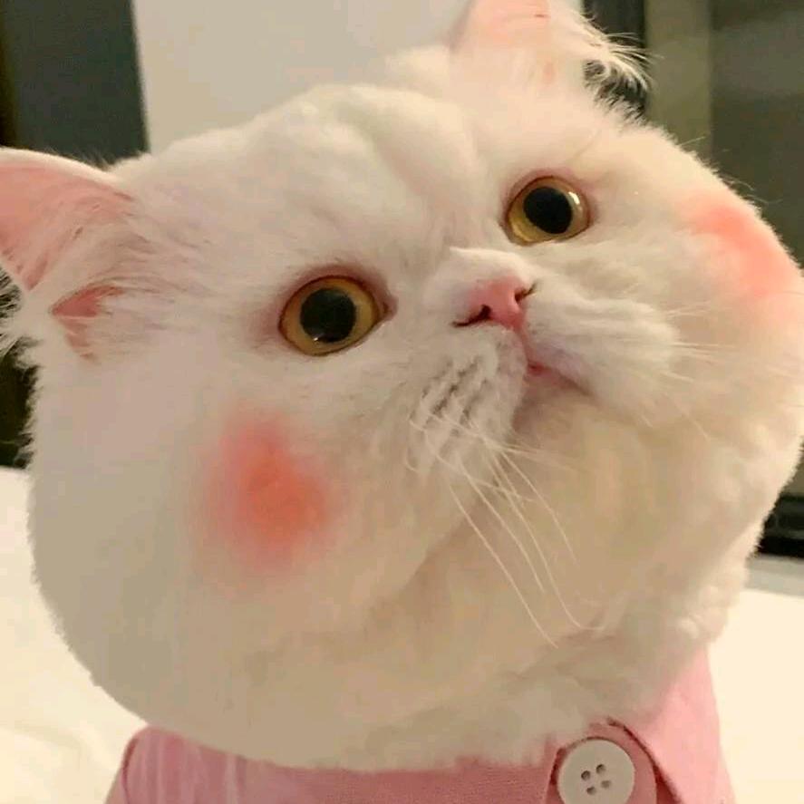 持酒劝斜阳