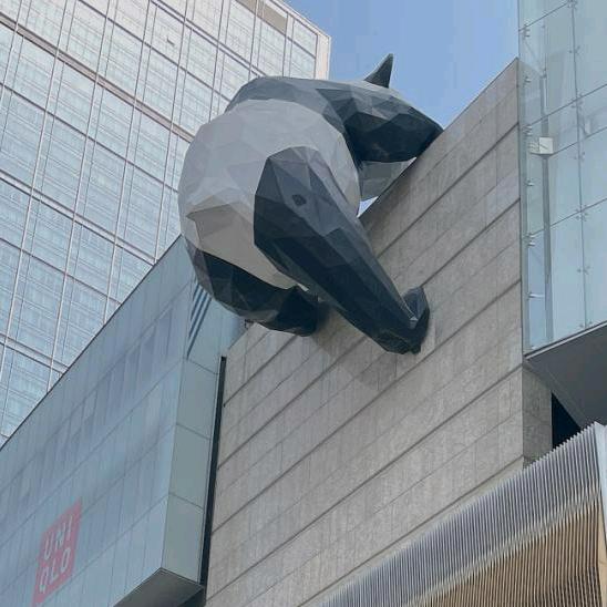 街拍引力场