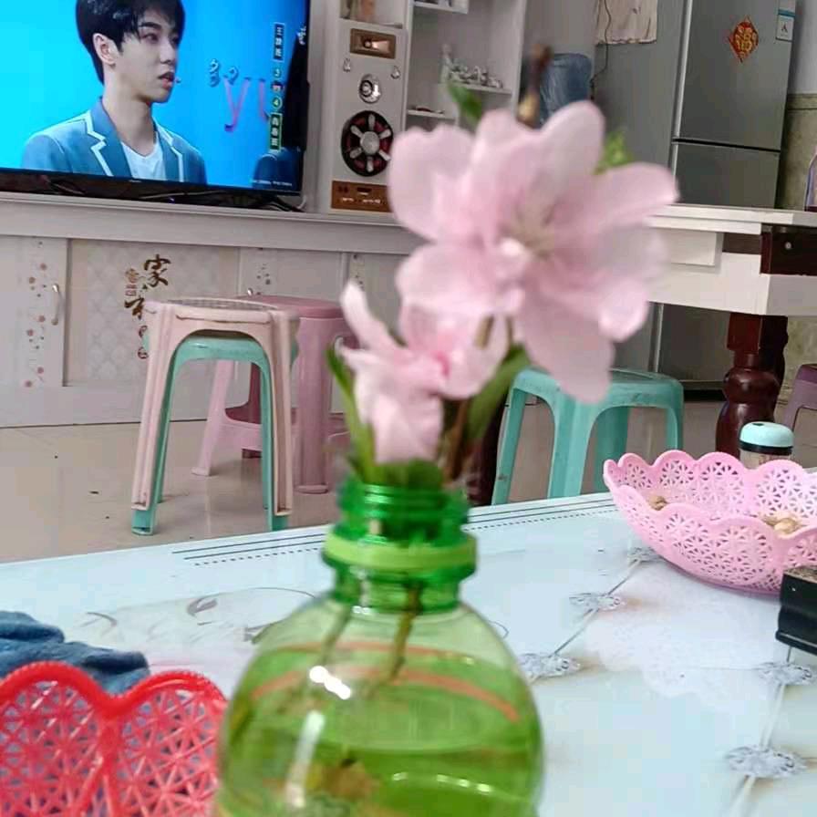 谁懂我的心？🌴😭🌴