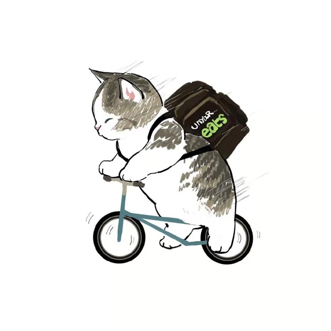 庙里的猫会走正步