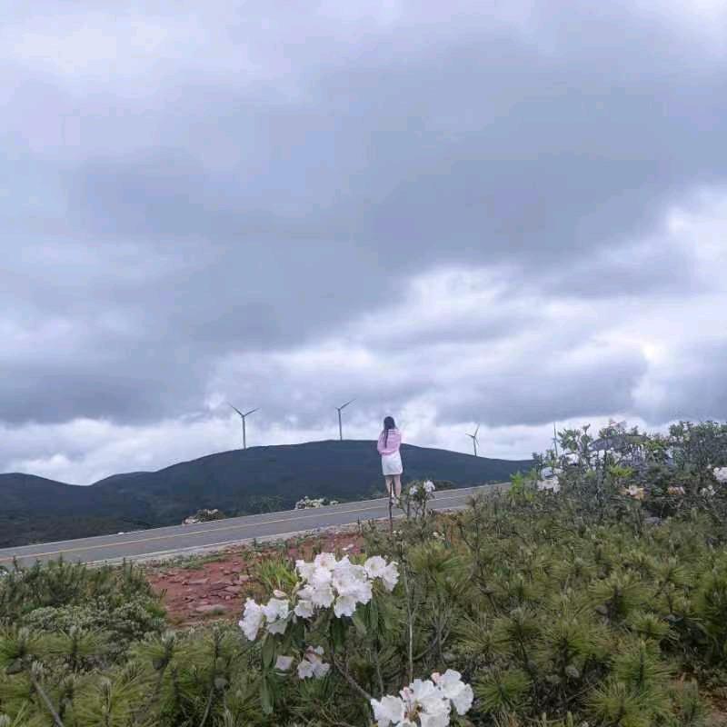 小马姐