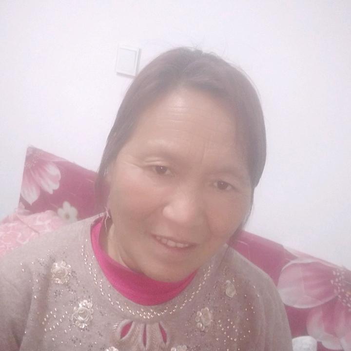 老沈