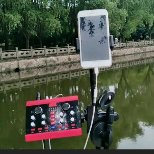 自由飞翔