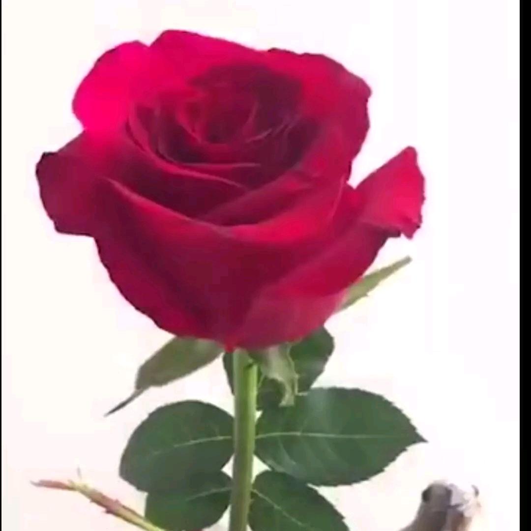 幸运❤️