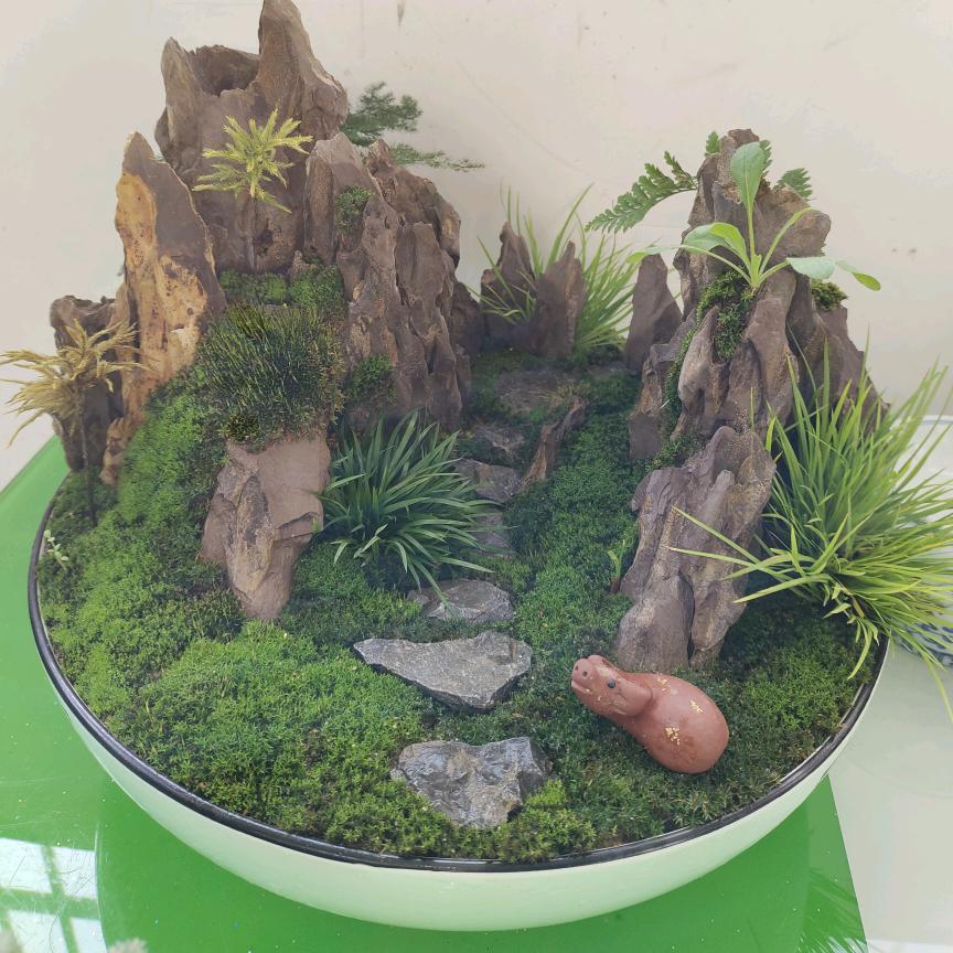 随风听雨