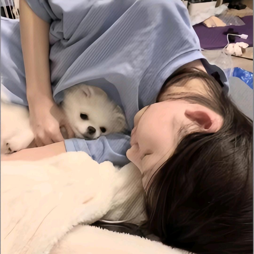 杉菜