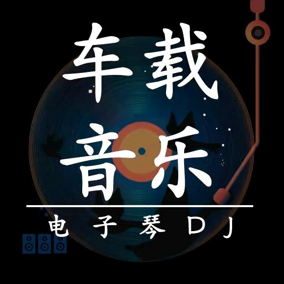 电子琴纯音乐【优盘在橱窗】