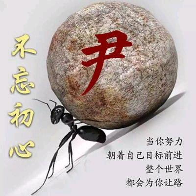 西藏神鹰🦅