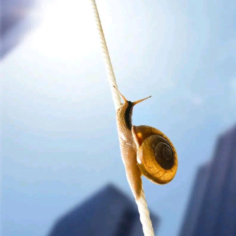 1我们
