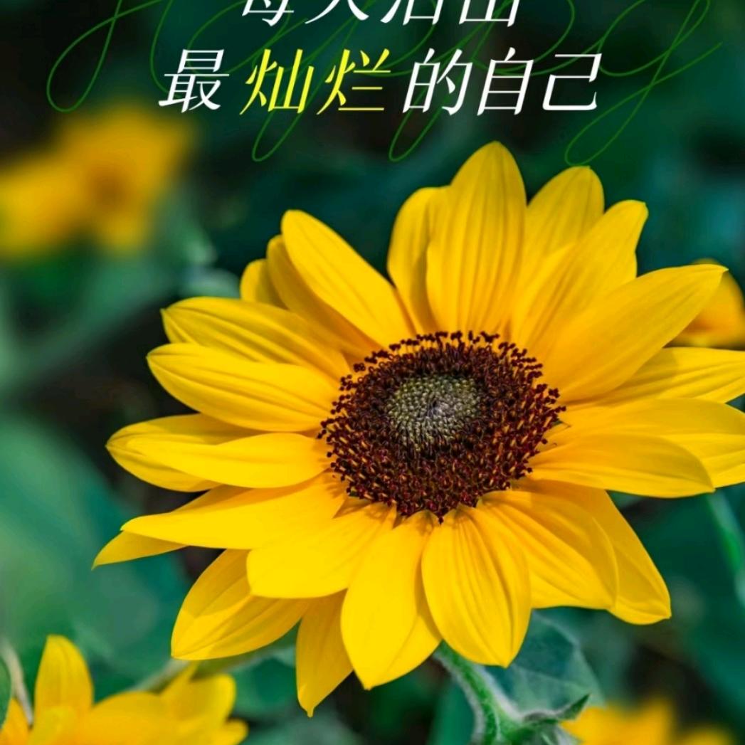 小欢儿