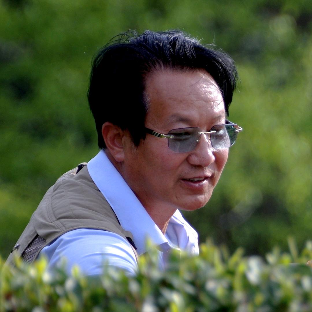 李茂影视