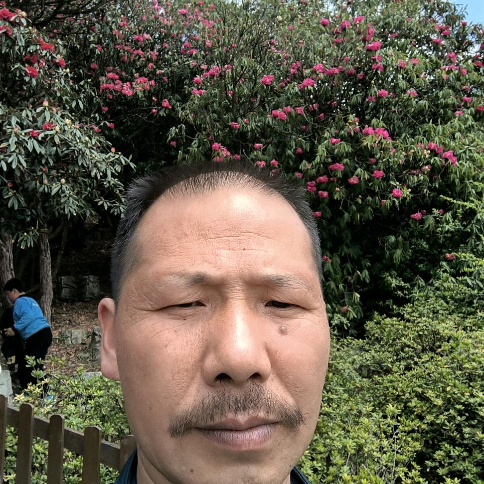 夏炎雨后