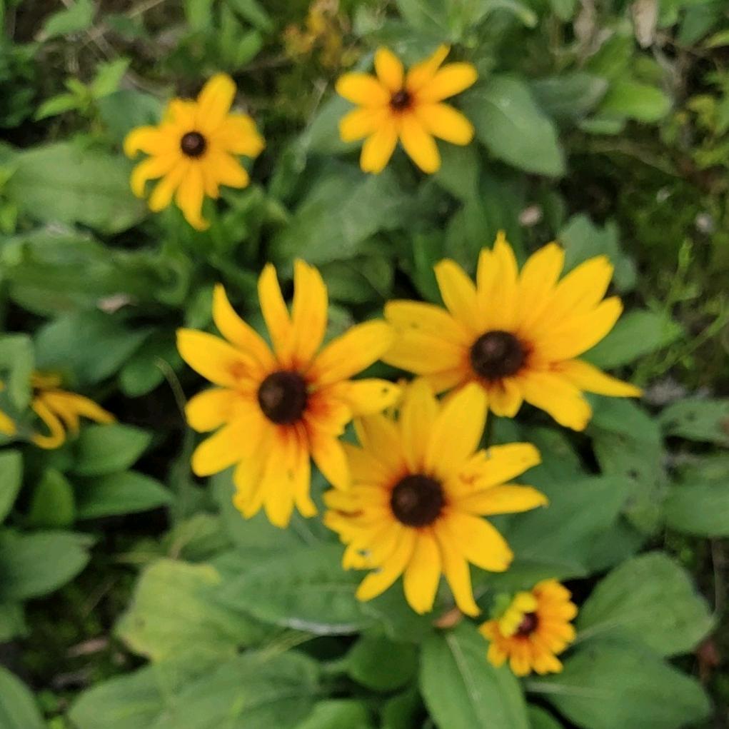 💋ᝰ ᭄ꦿ浅笑ღ᭄ꦿ এ⁵²º᭄💋