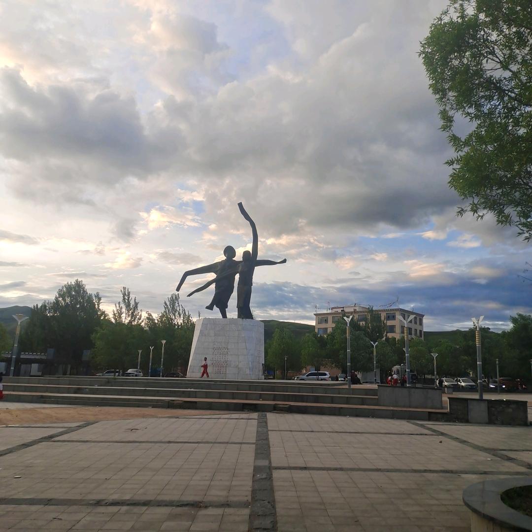 枫树