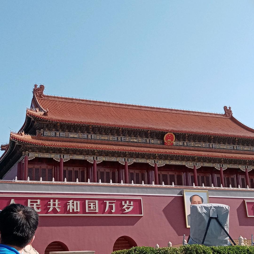 无心人