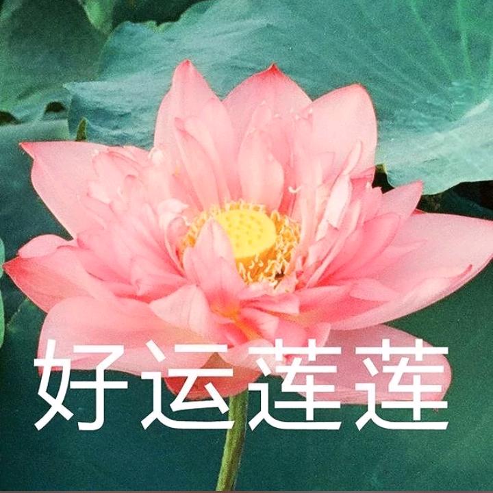 天天开心