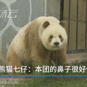 小仙子