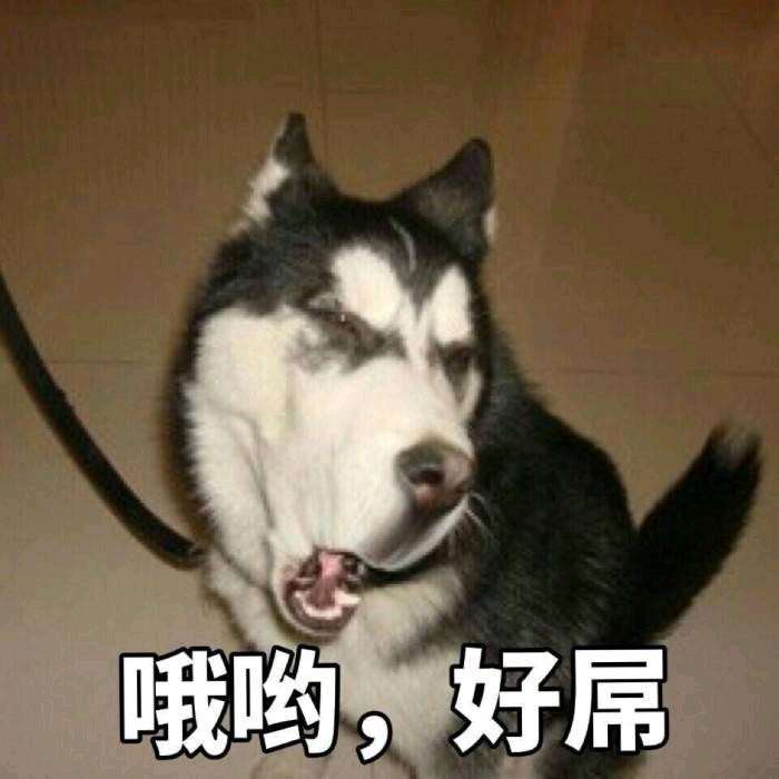 小千总头像