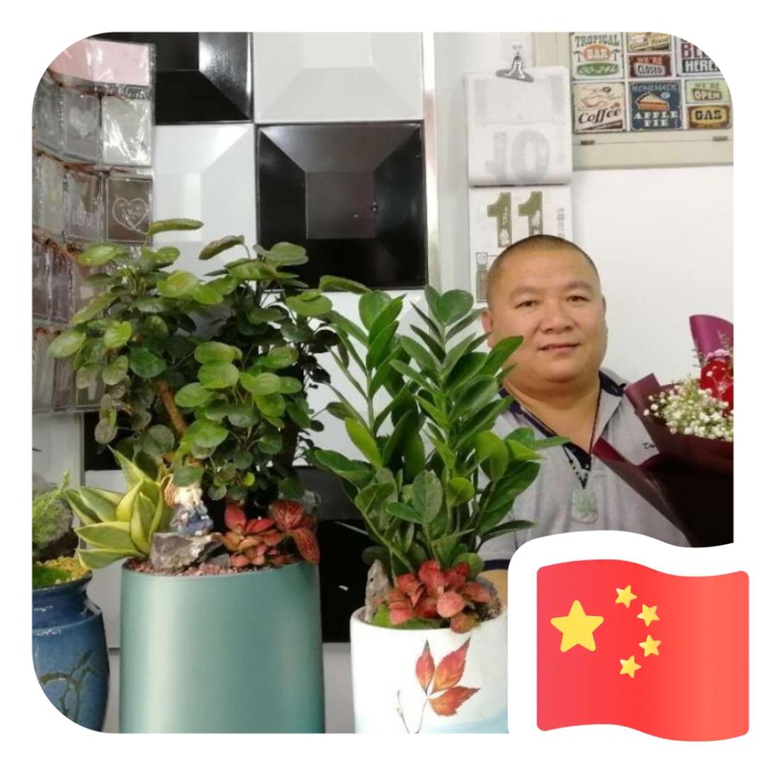 体重有点陈先生