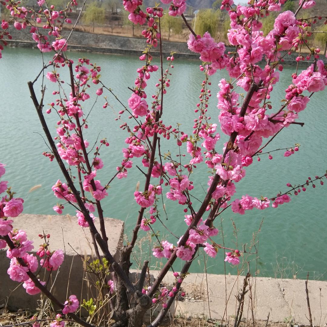 财源滚滚