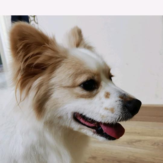 瑾