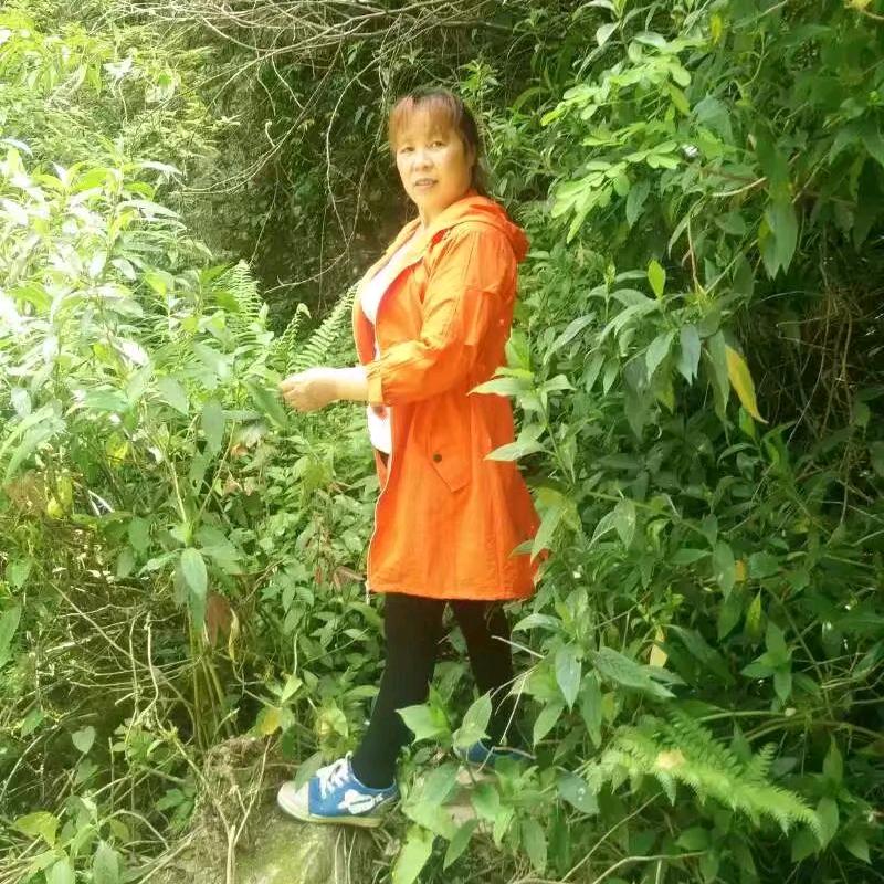盛开在阳光里的女子