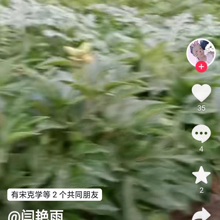 用户4587668550364