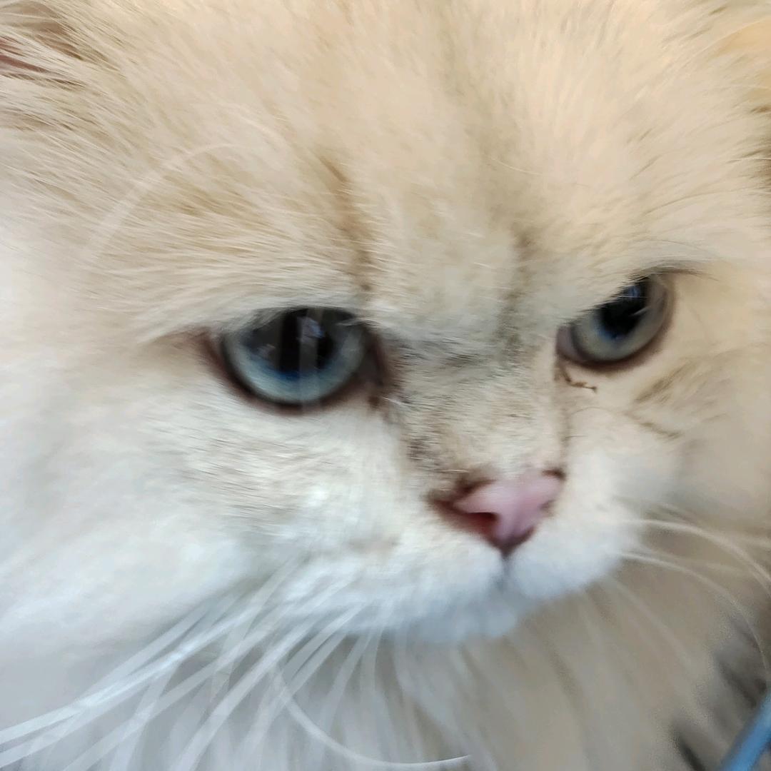 ～小刺猬🦔