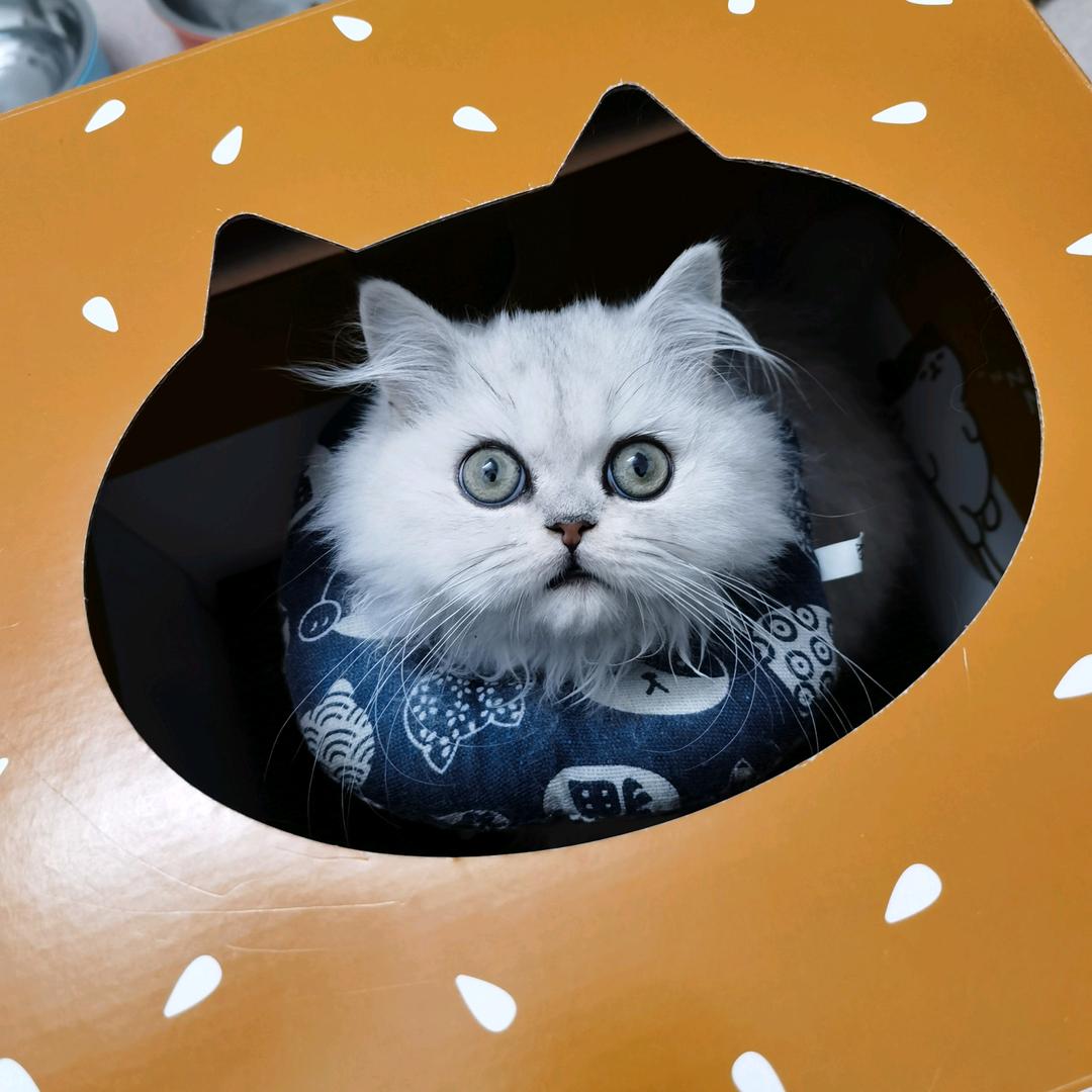 哎哟喂喂喂你一口甜甜