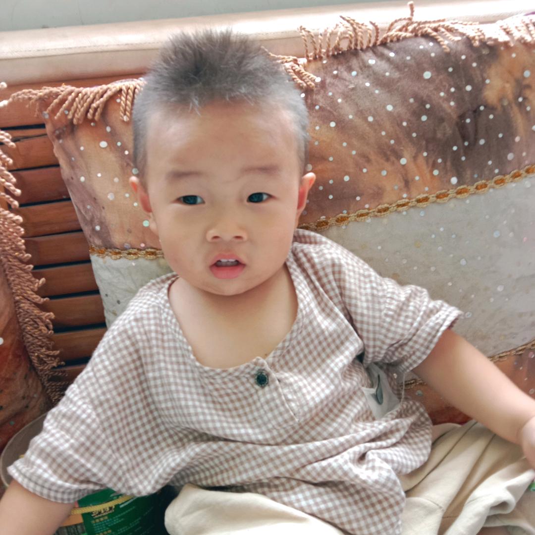 花飞花舞花满天