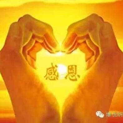 森哥头像